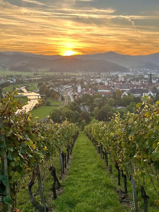 Апартаменты Coucou - Nest Im Schwarzwald Генгенбах Экстерьер фото