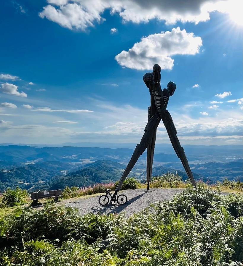 Апартаменты Coucou - Nest Im Schwarzwald Генгенбах Экстерьер фото